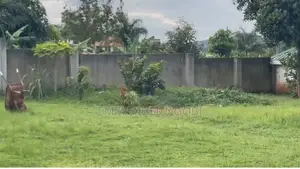 Titled Land