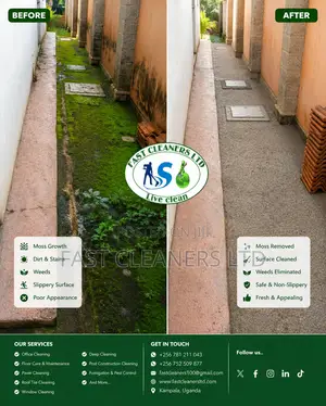 Paver Cleaning | Concrete Surfaces Cleaning