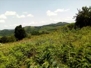 8 Acres Lake View Land – Mpata Nakitto Village (Mukono) at 50m/Acre