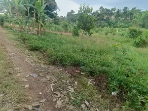 12 Decimals Prime Plot – Seeta (Namugongo Road) at 45m