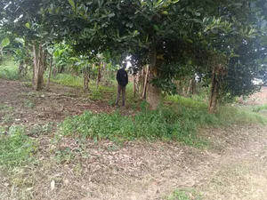 30 Decimals Prime Land – Kololo at 
