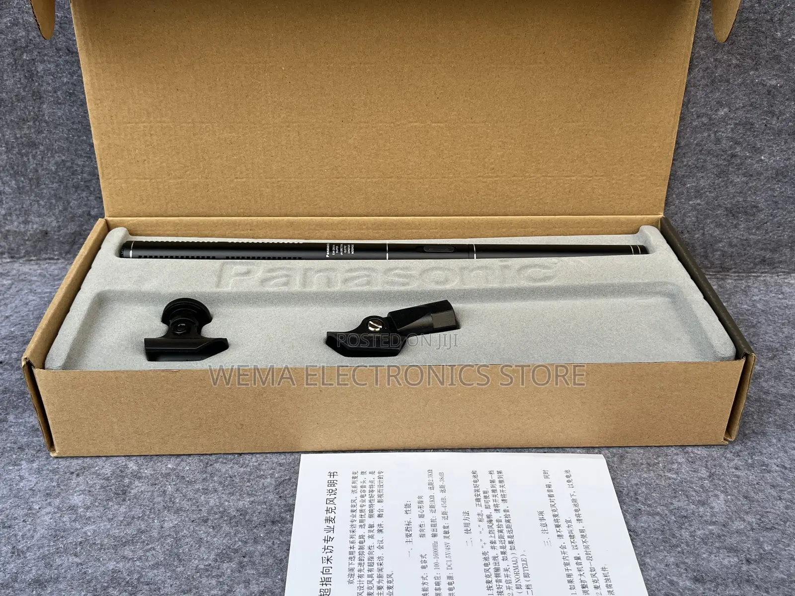 Panasonic Interview Microphone