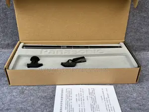 Panasonic Interview Microphone