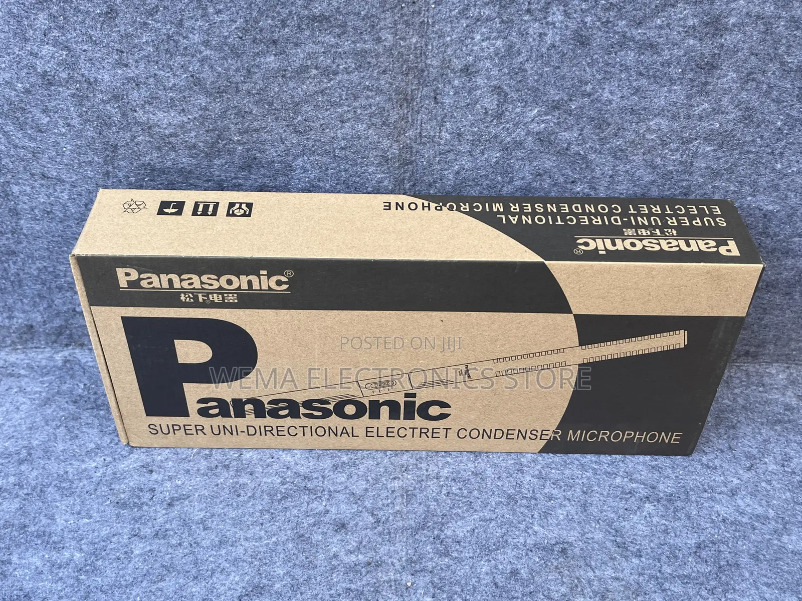 Panasonic Interview Microphone