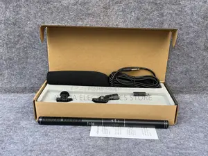 Panasonic Interview Microphone