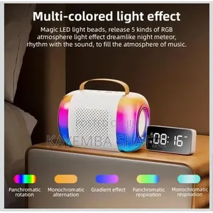 Wireless Microphone and Speaker Set With 2 Microphone Led
