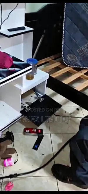 Flies , Rats and Bedbugs Extermation