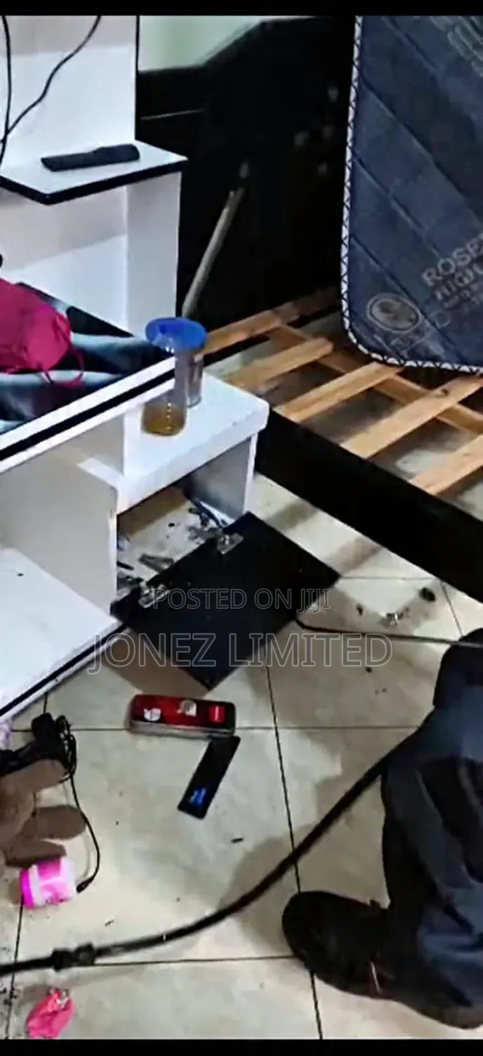 Flies , Rats and Bedbugs Extermation