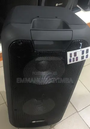 Rechargeable Party Speaker