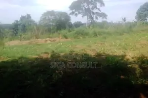 33 Acres of Cammercial Land Is on Sale at 120m in Kasayi Road, Mukono