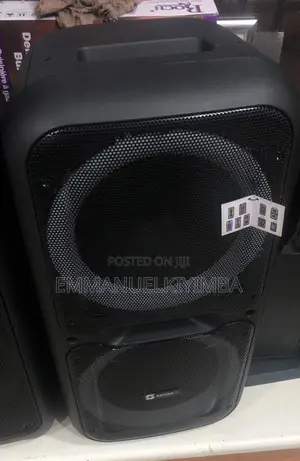 Party Speakers 12 Inch