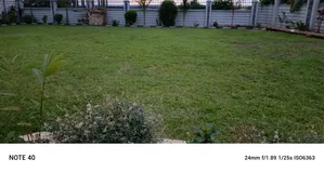 Compound Cleaning Services