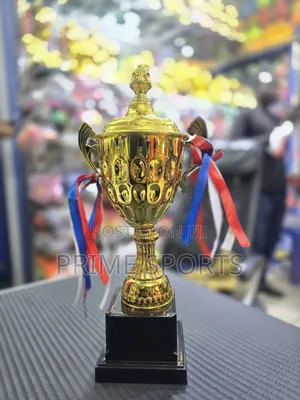 Sports Winning Trophy