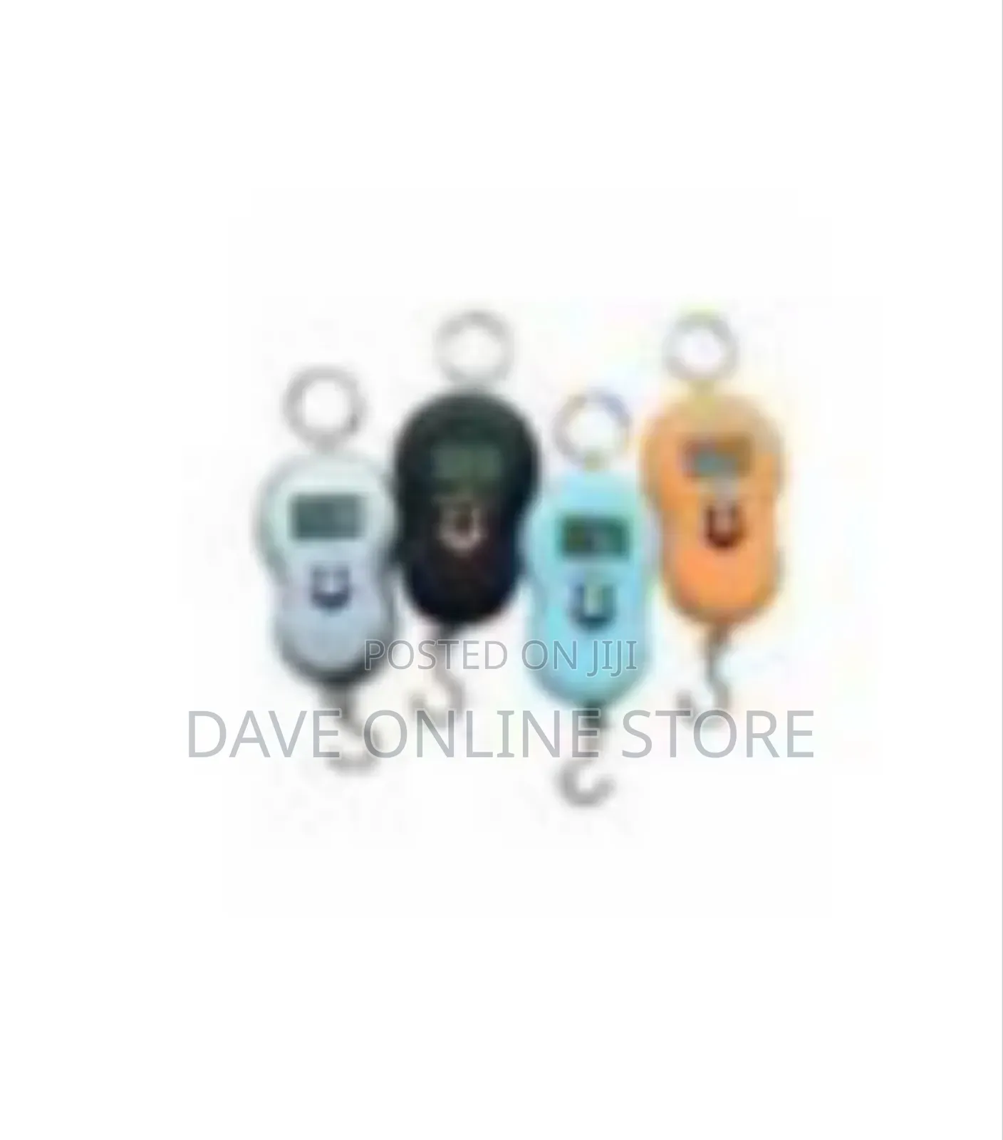 Portable Digital Hanging Scale