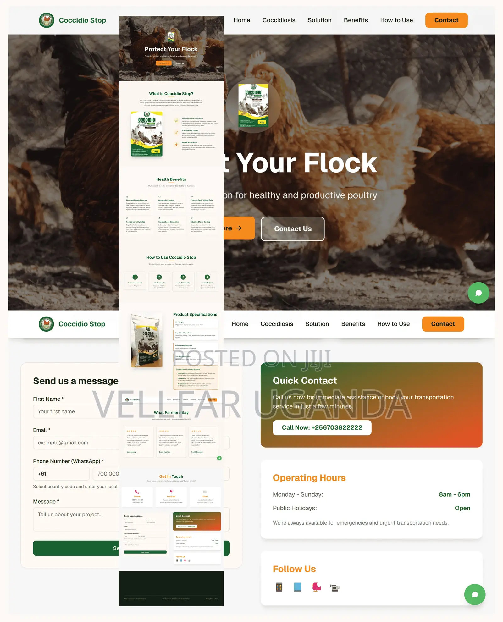 Business Websites With Whatsapp Integration