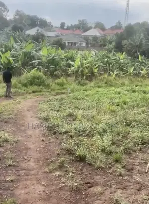 Prime Land for Sale