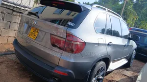 BMW X5 2012 Gray