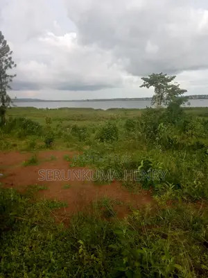 Plot for Sale, at Buwaya Ssazi, Clear Lake View 70 X 100ft