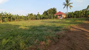 Quick Plot for Sale