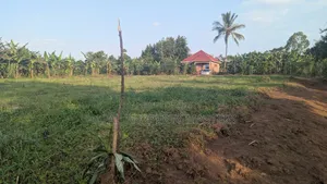 Quick Plot for Sale