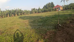 Quick Plot for Sale