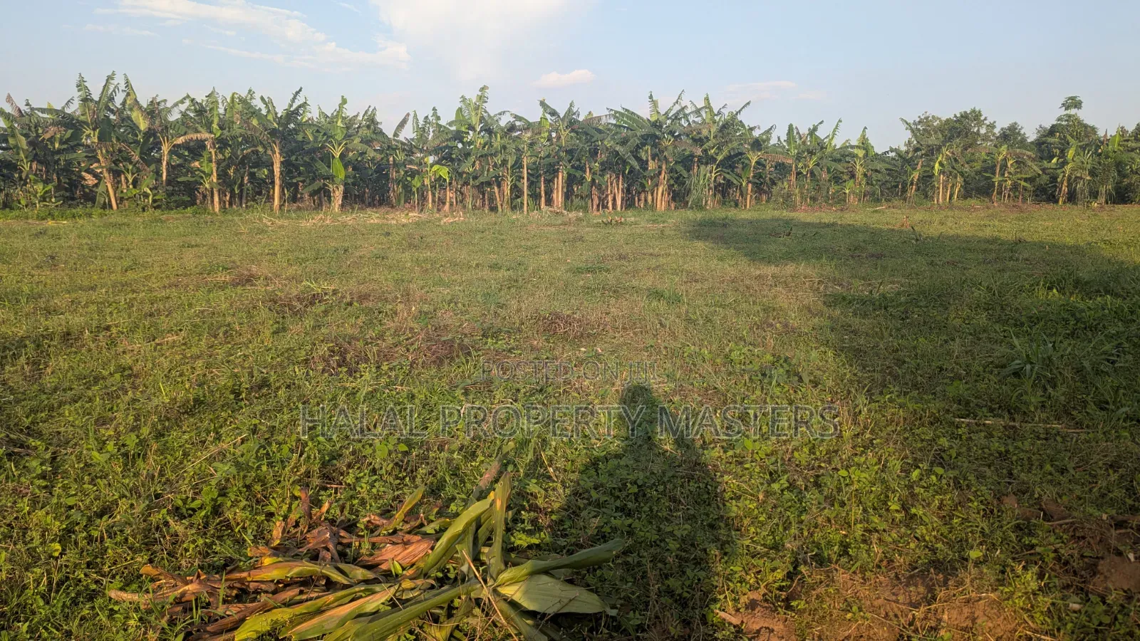 Quick Plot for Sale