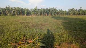 Quick Plot for Sale