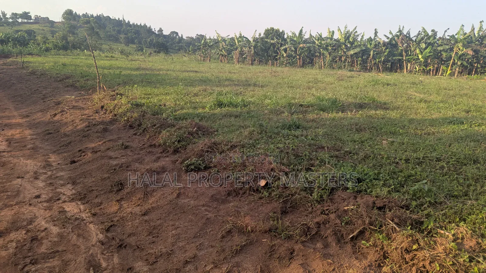 Quick Plot for Sale