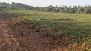 Quick Plot for Sale
