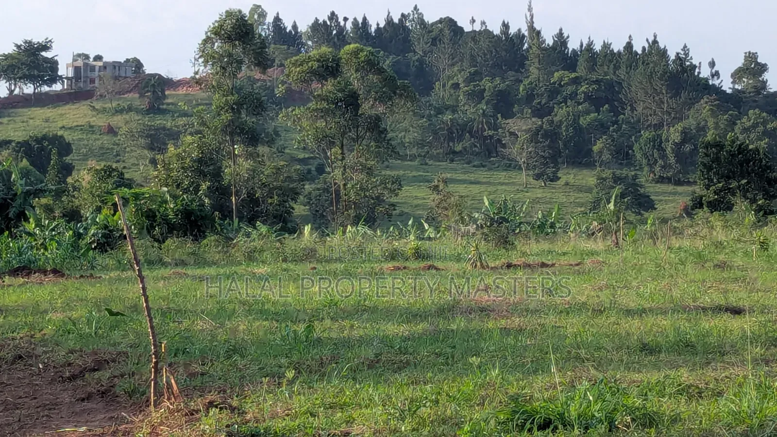 Quick Plot for Sale