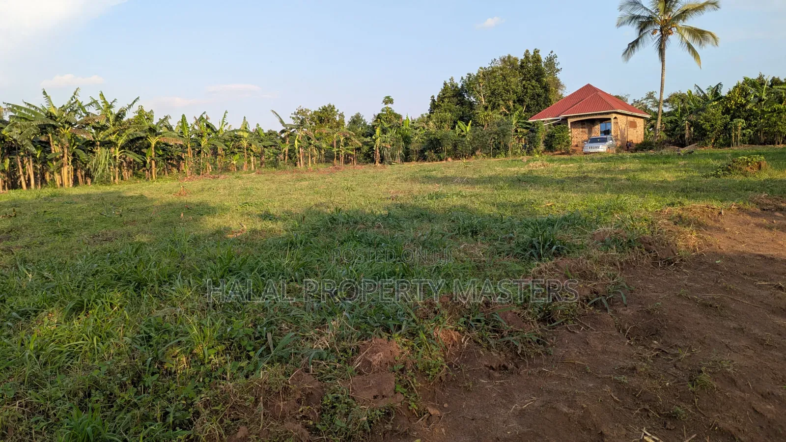 Quick Plot for Sale