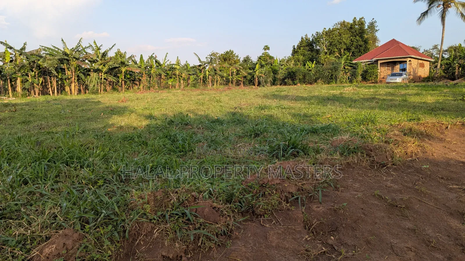 Quick Plot for Sale