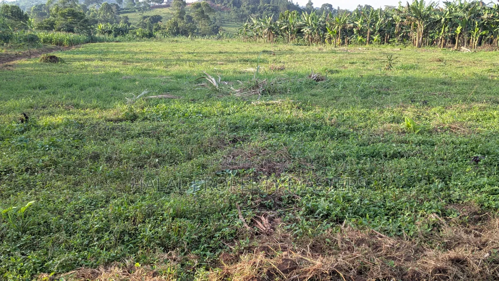Quick Plot for Sale