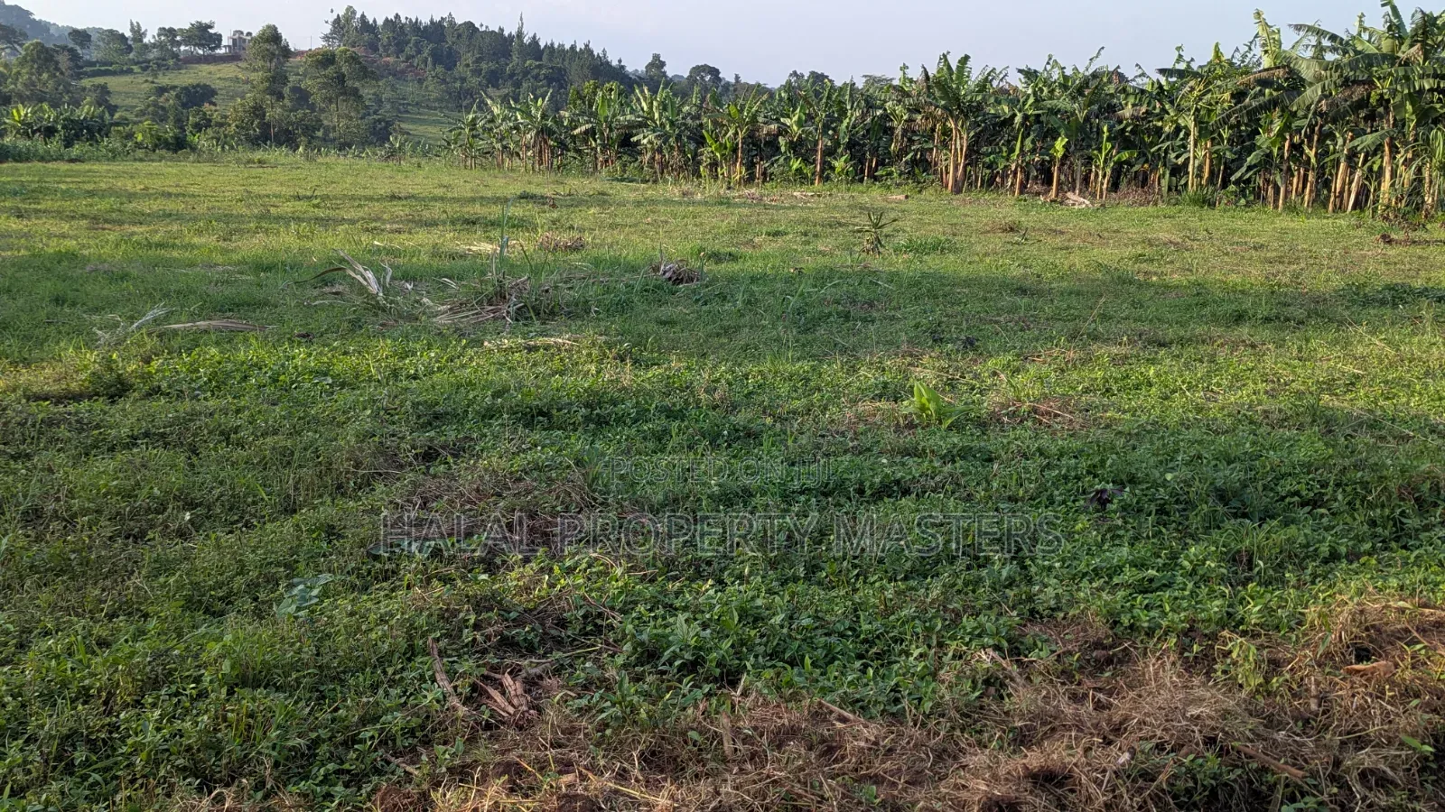 Quick Plot for Sale