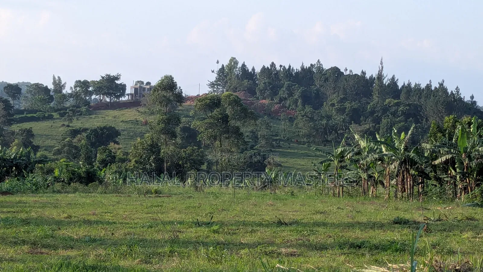 Quick Plot for Sale