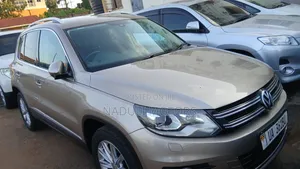Volkswagen Tiguan 2013 Gold