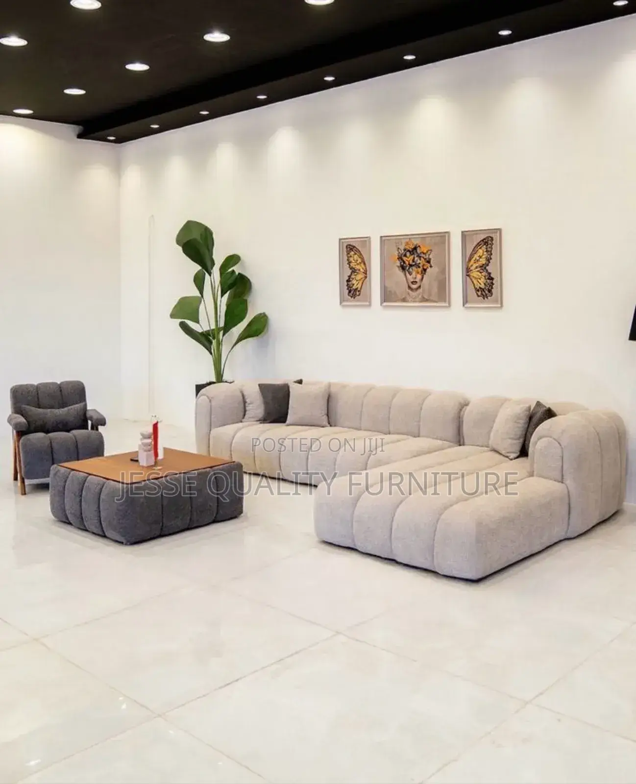 Lavish Gray Luxurious L Sofa