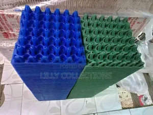 60 Pieces of Plastic Egg Trays