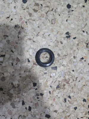 Mitsubishi Pajero Plug Oil Seal