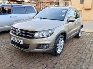 Volkswagen Tiguan 2013 Beige