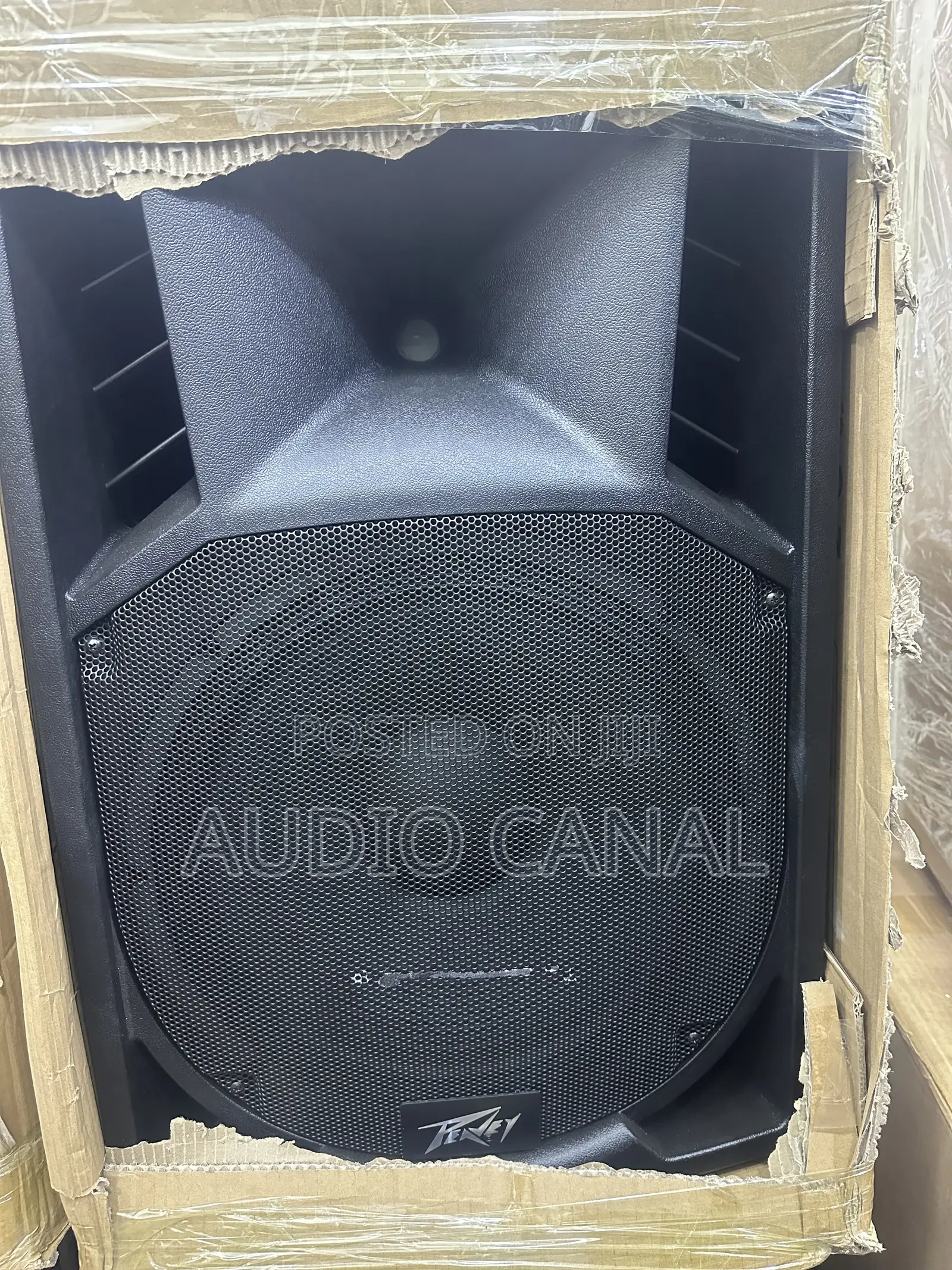 Peavey Double 15” Top Speaker