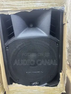 Peavey Double 15” Top Speaker