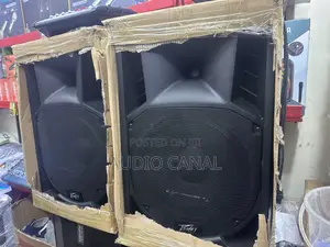 Peavey Double 15” Top Speaker