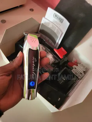 Wahl Detailer