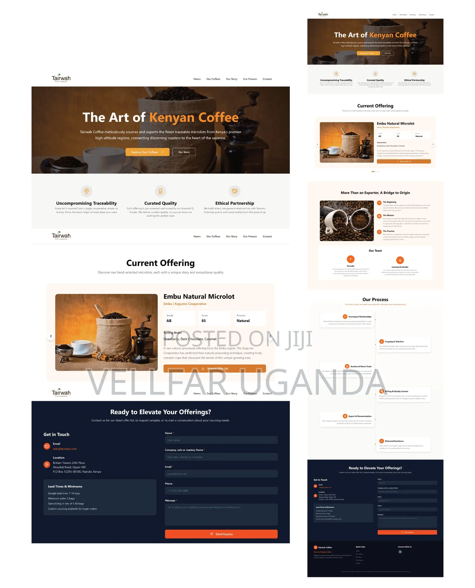 Cheap but Professional Website Design (Starter)