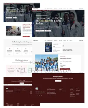 Website Design for International Organizations and Ngos