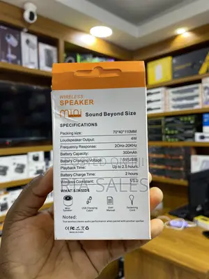 Wireless Mini Speaker