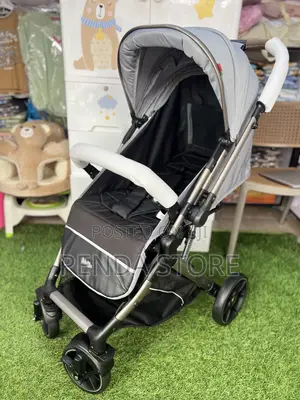 Easy Travel Baby Stroller – Baby Scenic Adventure Ride