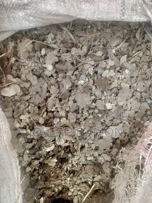 Fresh Chicken Manure for Sale.