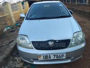 Toyota Allex 2004 Silver